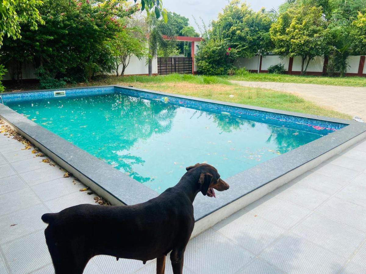 Le Grace Ecr Chennai Exterior foto